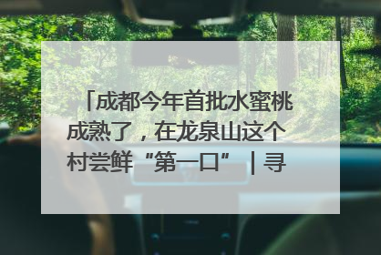 成都今年首批水蜜桃成熟了，在龙泉山这个村尝鲜“第一口”｜寻找和美乡村推荐官